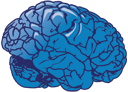 Picture of Blue Brain
