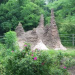 Giant Ant Hill Photo
