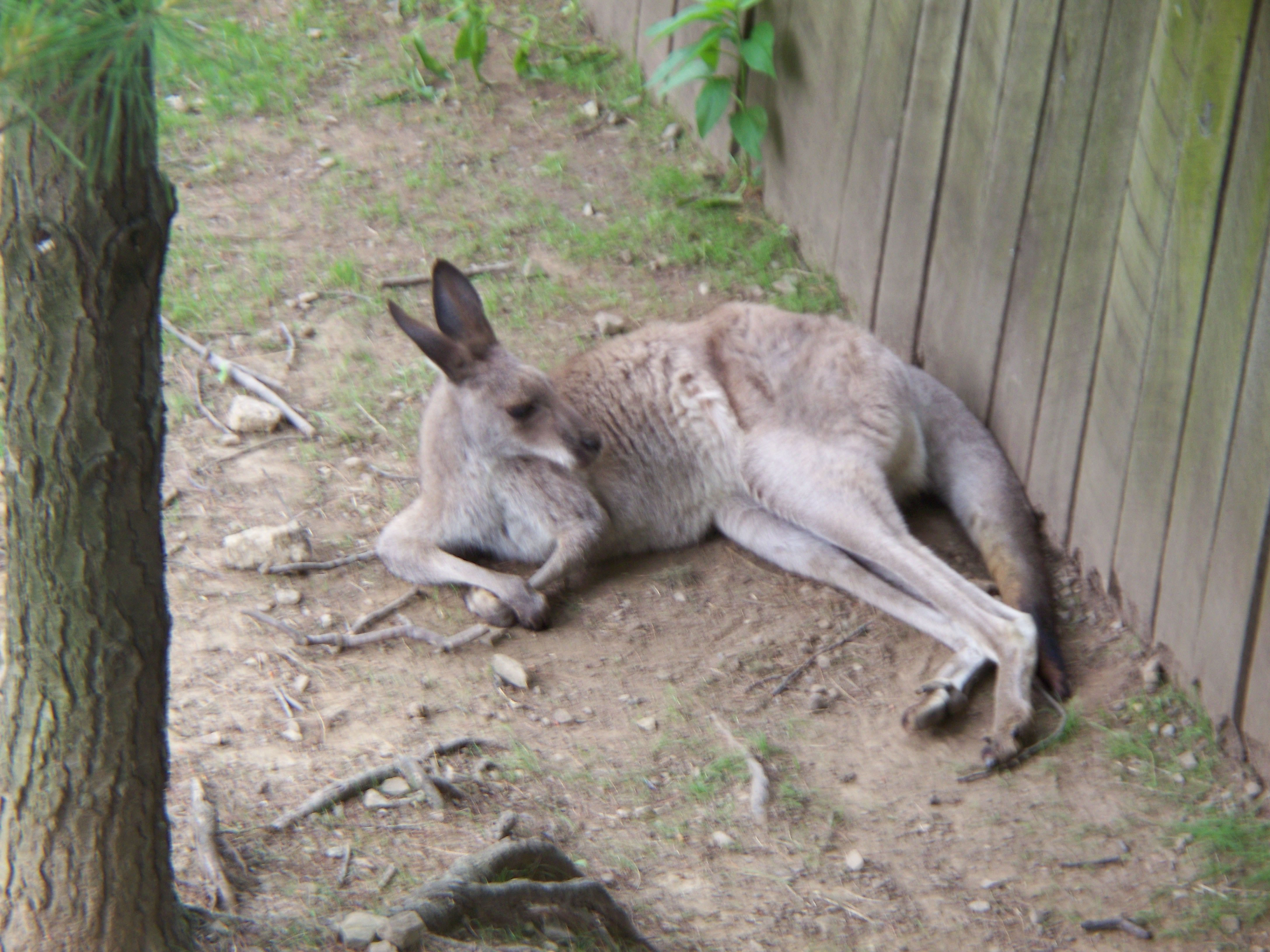 You are being redirected...