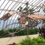 Phipps Conservatory Picture
