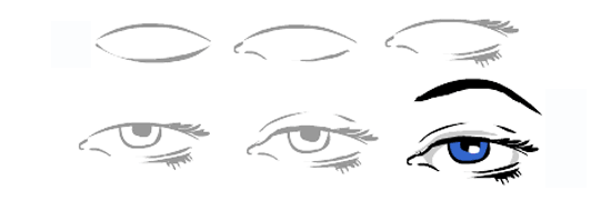 Featured image of post How To Draw A Human Eye Step By Step : As the light source is coming from the top left from our viewing angle, it should be positioned as drawn below.