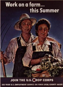 Work On A Farm