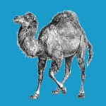 Perl Tutorial