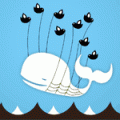 Followers/Following Ratio