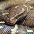 Python 2.7 Tutorial Pt 19