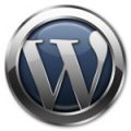 WordPress Newspaper Theme